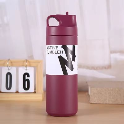 Καυτό και κρύο μπουκάλι με μόνωση νερού 550 ml χωρητικότητα από ανοξείδωτο χάλυβα εσωτερικό καπάκι από άχυρο