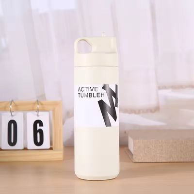 550 ml βιώσιμη διπλή τοιχώδης απομονωμένη φιάλη κενού για νερό τσαγιού και καφέ