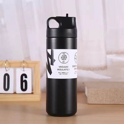 550 ml βιώσιμη διπλή τοιχώδης απομονωμένη φιάλη κενού για νερό τσαγιού και καφέ