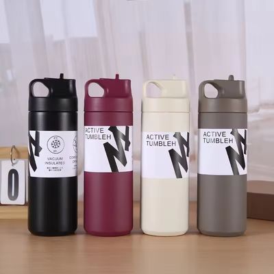 550 ml βιώσιμη διπλή τοιχώδης απομονωμένη φιάλη κενού για νερό τσαγιού και καφέ