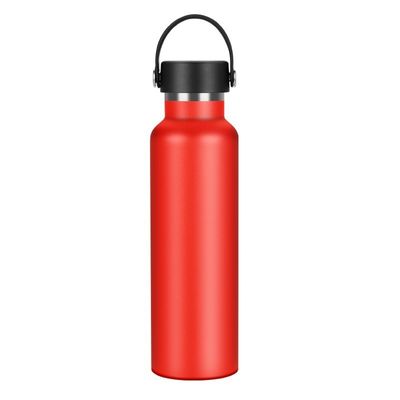 Ατσάλι αθλητικά μπουκάλια 500ml/600ml/750ml Προσαρμοσμένα φιαλίδια κενού