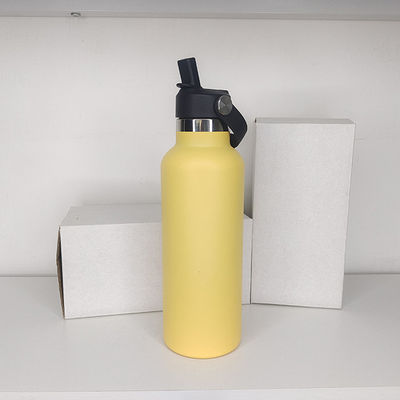 650 ml Ατσάλινο μπουκάλι με μονωμένο νερό μοντέρνο σχεδιασμό για ενεργά παιδιά και εξωτερικούς χώρους