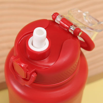 700 ml από ανοξείδωτο χάλυβα μονωμένο θερμόφωνο με καπάκι από άχυρο βιώσιμο και όλα σε ένα
